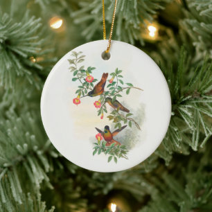 Goldstirnkolibri, Baum Keramik Ornament