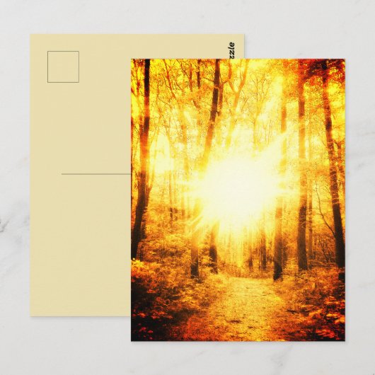 GOLDSUN BRIGHT POSTCARD POSTKARTE (Vorne/Hinten)