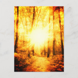 GOLDSUN BRIGHT POSTCARD POSTKARTE