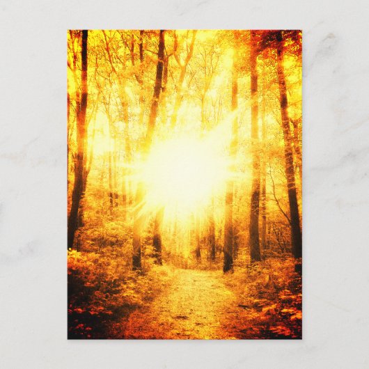 GOLDSUN BRIGHT POSTCARD POSTKARTE (Vorderseite)