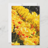 Goldwachstum Einladung (Vorderseite)