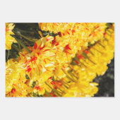 Goldwachstum Geschenkpapier Set (Vorderseite)