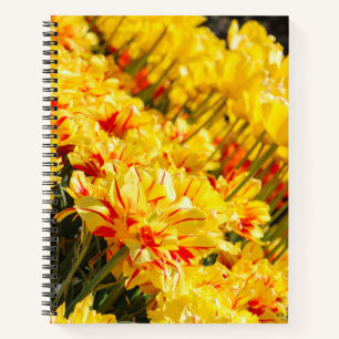 Goldwachstum Notizblock