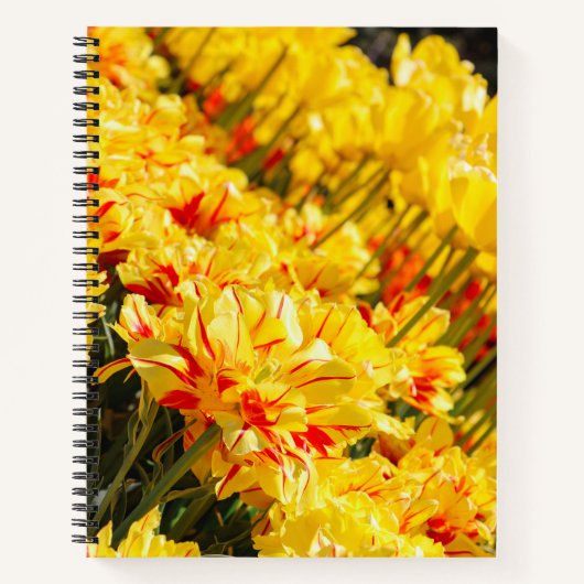 Goldwachstum Notizblock (Vorderseite)