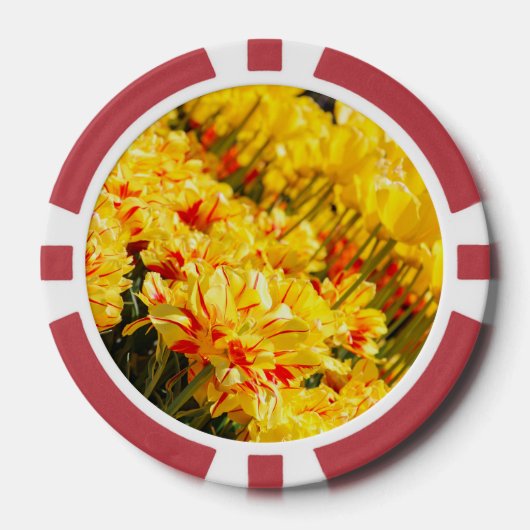 Goldwachstum Pokerchips (Vorderseite)