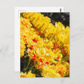 Goldwachstum Postkarte (Vorne/Hinten)