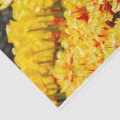 Goldwachstum Seidenpapier (Ausschnitt)