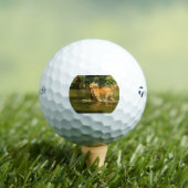 Goldwasser Golfball (Insitu T-Shirt)