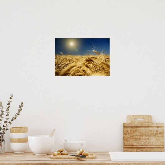 Goldweizen und blauer Himmel mit Sonne Poster (Küche)