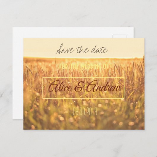 Goldweizenfarm Save the Date Postkarte (Vorne/Hinten)