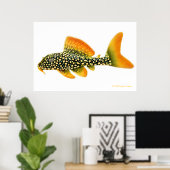 Goldy Pleco Fish Print Poster (Heimbüro)