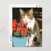 "Goldy & Red Blume" Postkarte (Vorne/Hinten)