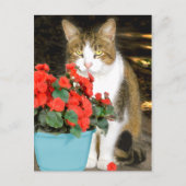 "Goldy & Red Blume" Postkarte (Vorderseite)