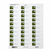 Golf Ball auf Course Mailing Labels (Vorne)
