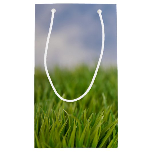 Golf Ball auf Tee Kleine Geschenktüte (Rückseite)