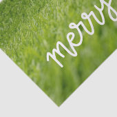 Golf-Ball mit dem Weihnachtsmann-Hut auf grünen We Seidenpapier (Detail)