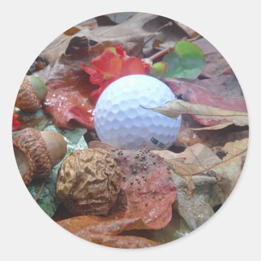 Golf Ball und Herbstlaube und Eicheln Runder Aufkleber (Vorderseite)