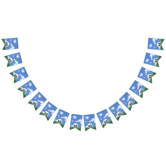 Golf Ball zum 65. Geburtstag Jagdfahnen Wimpelkette (Alle)