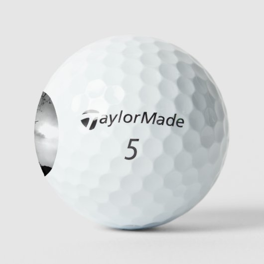 GOLF BALLS TAYLOR MAX TP5 GOLFBALL (Logo)
