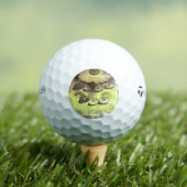 GOLF BALLS TAYLOR MAX TP5 GOLFBALL (Insitu T-Shirt)