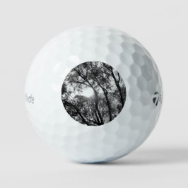 GOLF BALLS TAYLOR MAX TP5 GOLFBALL