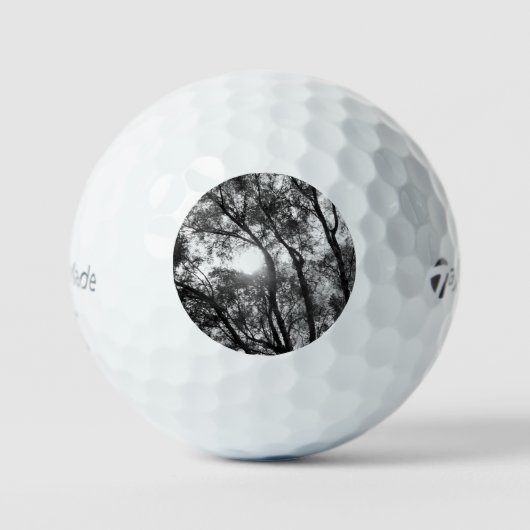 GOLF BALLS TAYLOR MAX TP5 GOLFBALL (Vorderseite)