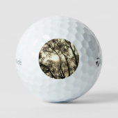 GOLF BALLS TAYLOR MAX TP5 GOLFBALL (Vorderseite)