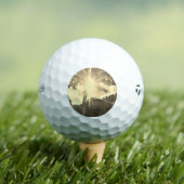 GOLF BALLS TAYLOR MAX TP5 GOLFBALL (Insitu T-Shirt)