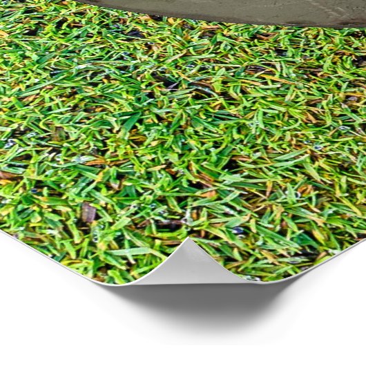 Golf-Bilderbriefe Poster (Ecke)