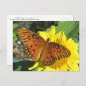 Golf Fritillary Butterfly ruhen auf Sonnenblume Postkarte (Vorne/Hinten)