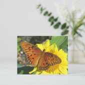 Golf Fritillary Butterfly ruhen auf Sonnenblume Postkarte (Stehend Vorderseite)