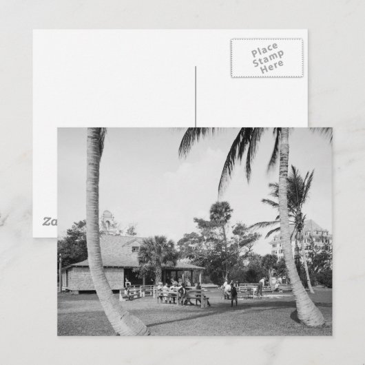 Golf im Palm Beach, 1904 Postkarte (Vorne/Hinten)