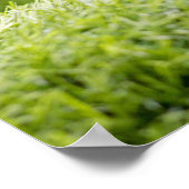 Golf ist auf grünem Grasboden Poster (Ecke)