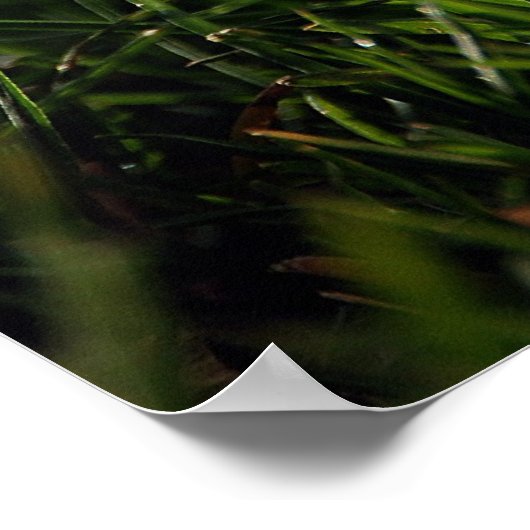 Golf Poster (Ecke)