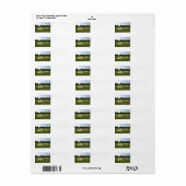 Golf Sand Falle (Vorne)