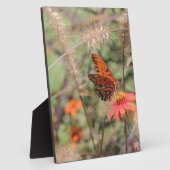 Golf von Fritillon in Zinnia Fotoplatte (Seite)