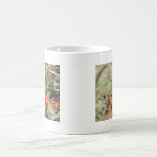 Golf von Fritillon in Zinnia Kaffeetasse (Mittel)