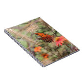 Golf von Fritillon in Zinnia Notizblock (Rechte Seite)