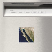 Golf von Kalifornien Magnet (In Situ (Geschirrspüler))