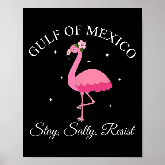 Golf von Mexiko Bleibe Sally Resist Poster (Vorne)