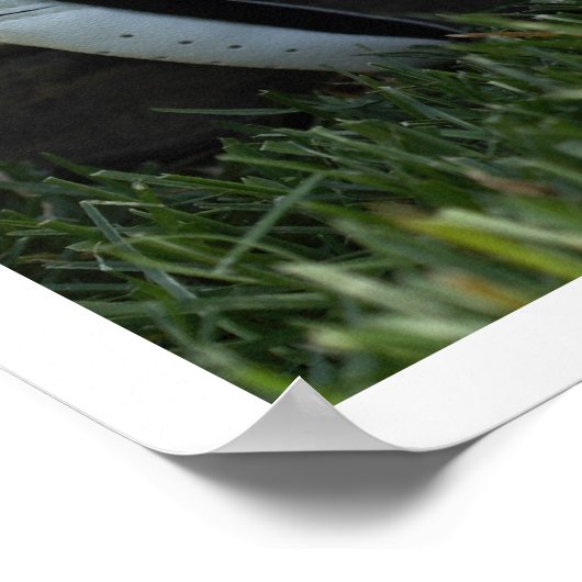 Golfausrüstung Poster (Ecke)