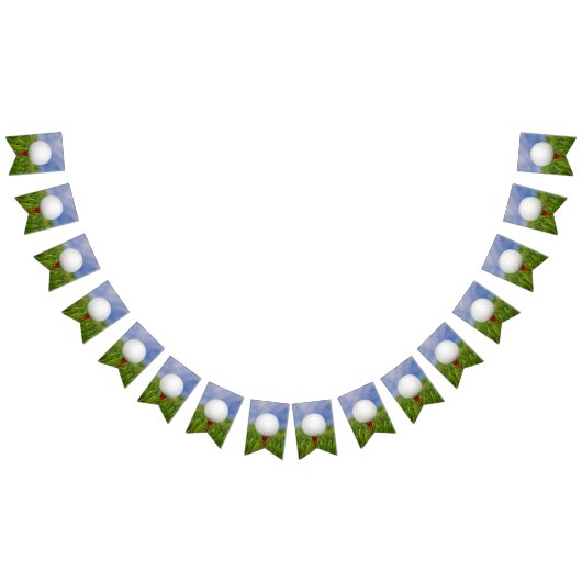 Golfball auf rotem Tee im Gras Wimpelkette (Alle)