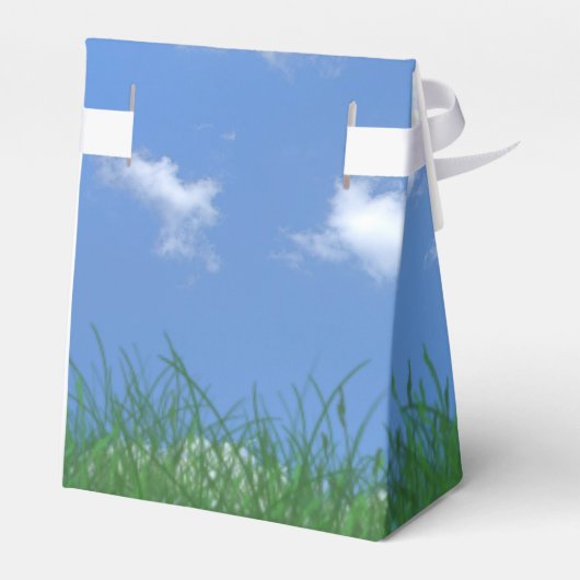 Golfball Geschenkschachtel (Rückseite)