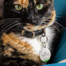 Golfball im Gras Personalisiert