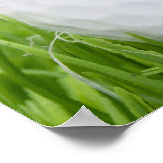 Golfball im Gras Poster (Ecke)