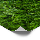 Golfbälle sind auf grünem Gras Poster (Ecke)
