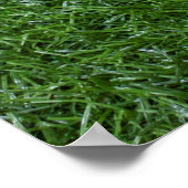 Golfbälle sind auf grünem Gras Poster (Ecke)