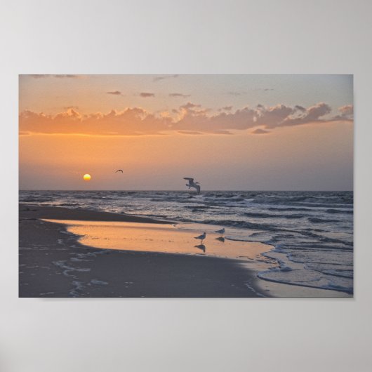 Golfe bei Sonnenaufgang am Strand von Florida Poster (Vorne)