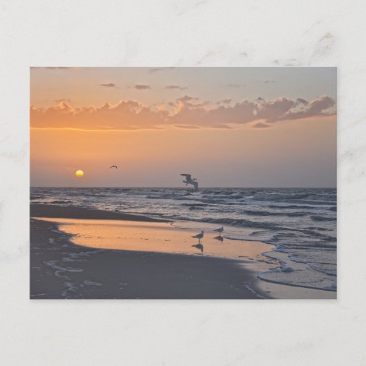 Golfe bei Sonnenaufgang am Strand von Florida Postkarte (Vorderseite)