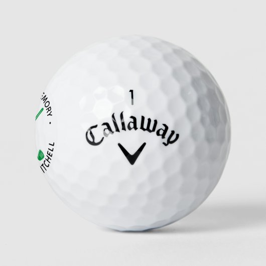 Golfer-Gedenkstätte für das Gedächtnis der Erinner Golfball (Logo)